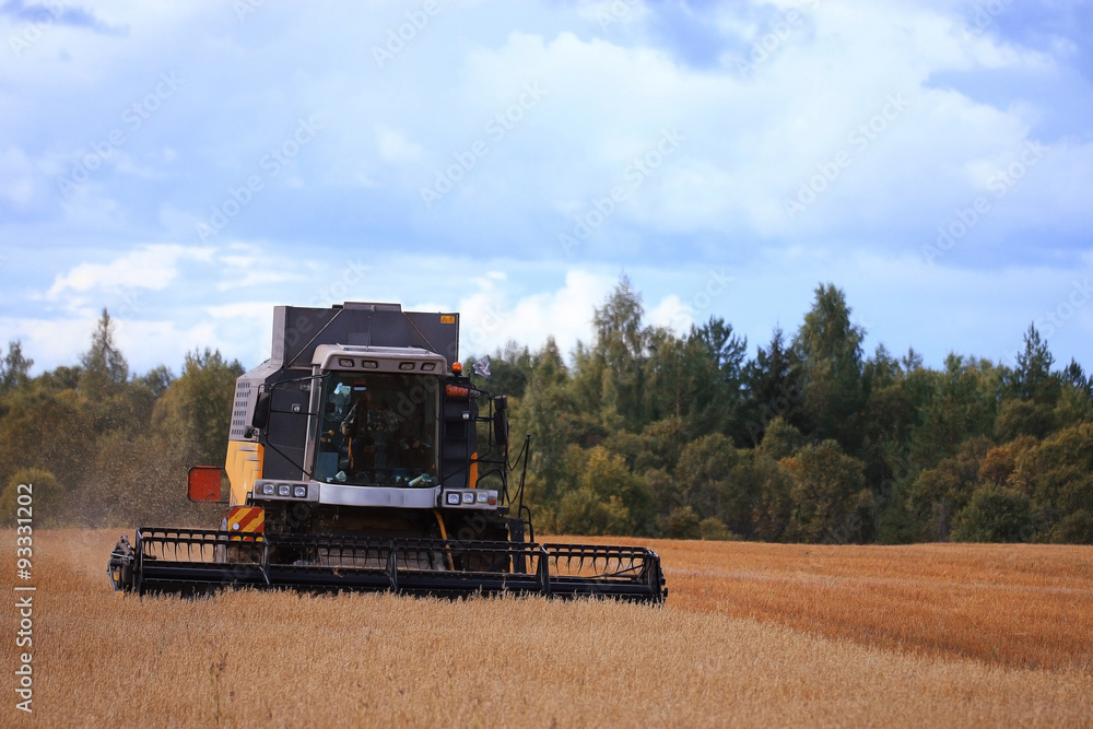Fototapeta premium tractor in a field to harvest