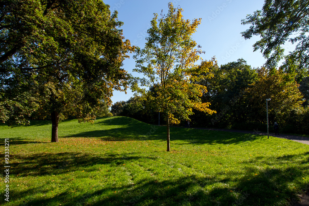 Naklejka premium Grüner Park im Herbst in Deutschland