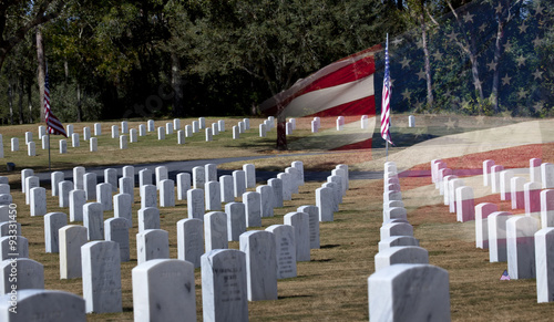 Veterans Cemetery on Veterans Day photo