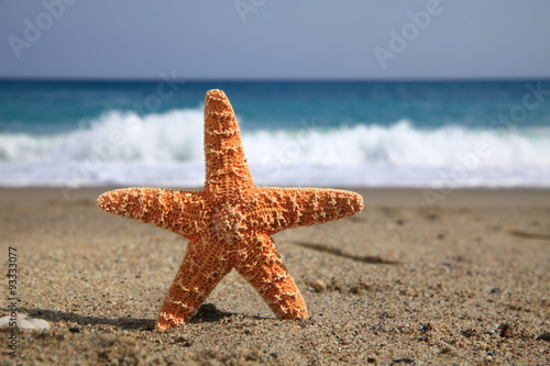 starfish beach vacation