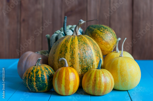 Pumpkins on rural dark and blue wooden background. Pumpkin