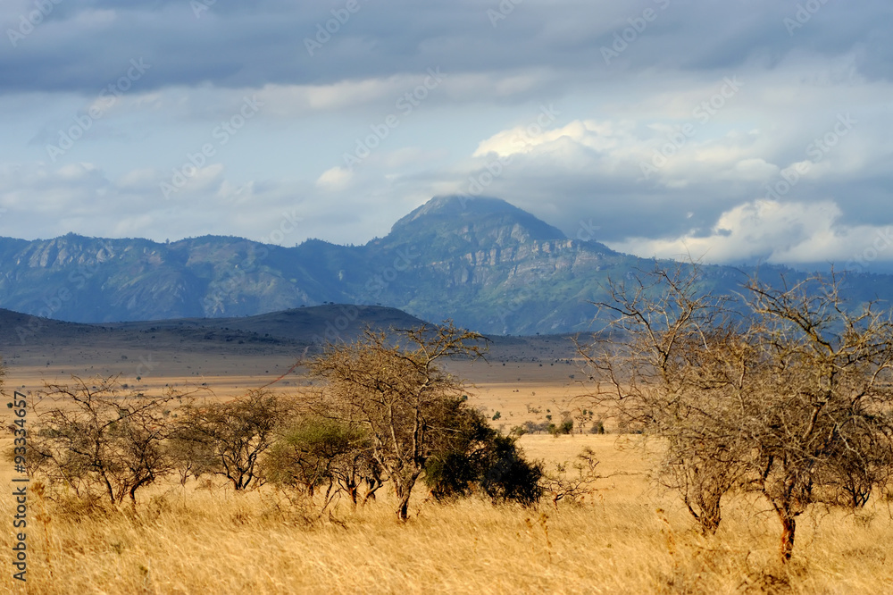 Naklejka premium Landscape in Tsavo National Park, Kenya