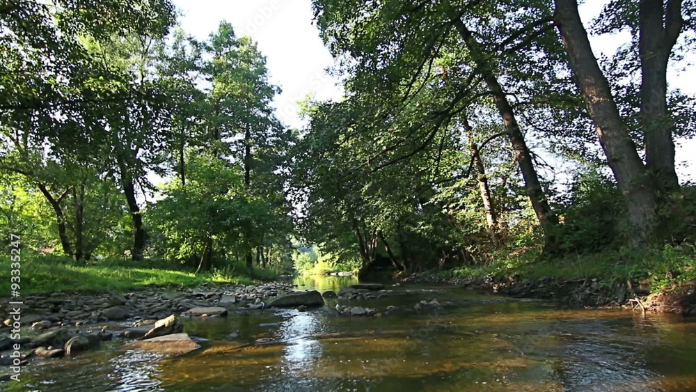 Mountain stream in the forest Mountain stream in the forest