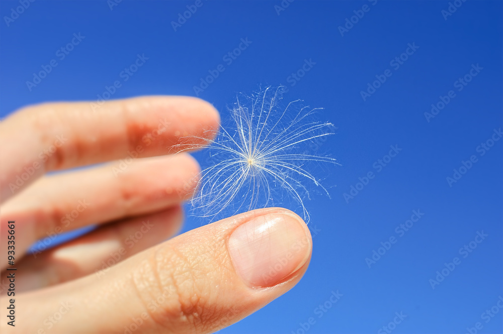 Lightweight piece of fluff in the air on the palm. Lightness, freedom, softness, space concepts