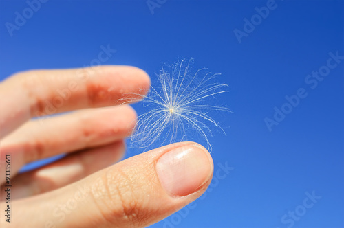 Lightweight piece of fluff in the air on the palm. Lightness, freedom, softness, space concepts.