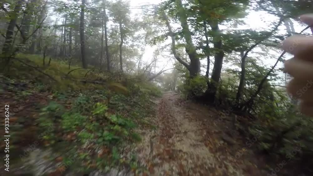 POV Running on a trail through forest POV Running on a trail through forest