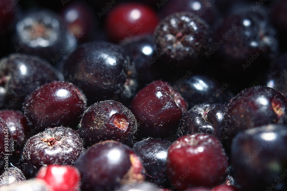 texture of berries chokeberry texture of berries chokeberry