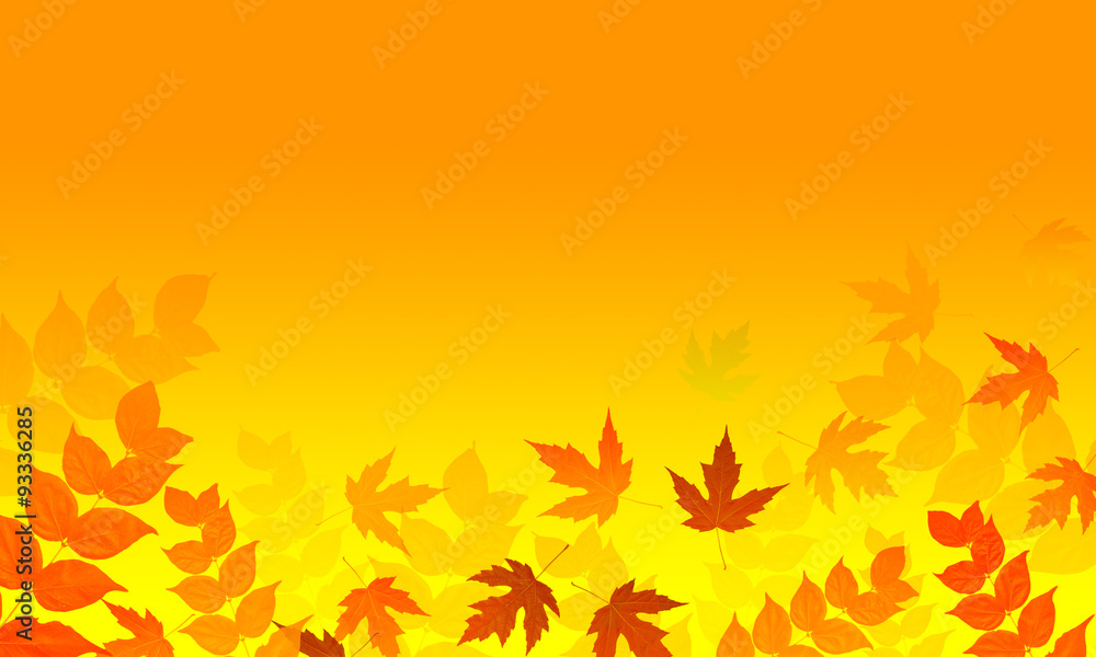 Falling autumn leaves Falling autumn leaves