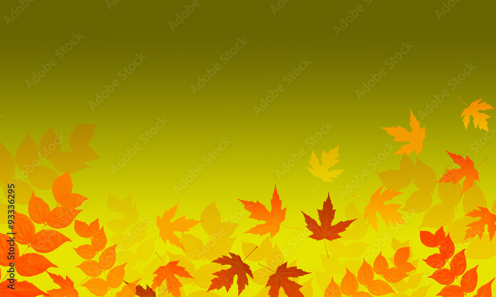 Falling autumn leaves Falling autumn leaves