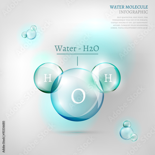 Water molecule