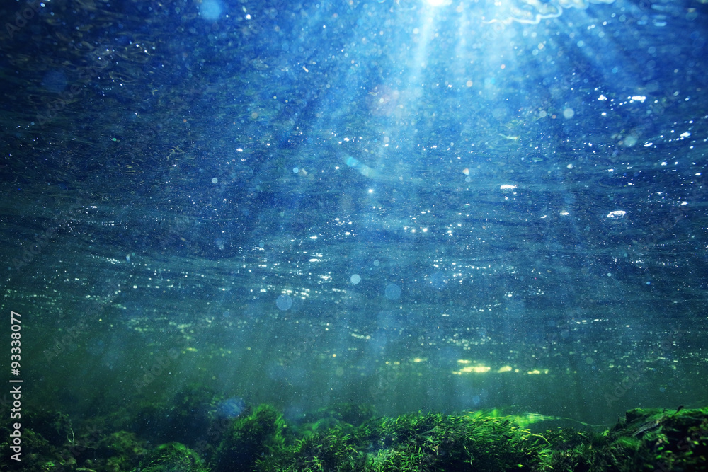 Naklejka premium Underwater in a mountain river