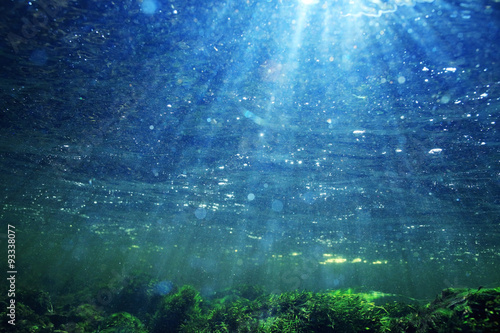 Underwater in a mountain river