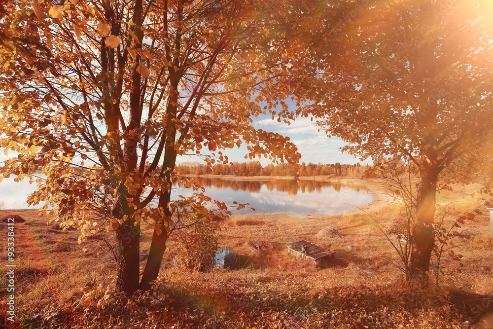 landscape background in sunny autumn park landscape background in sunny autumn park