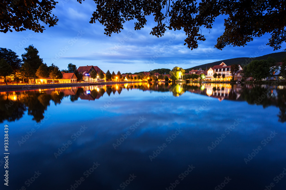 Obraz premium Der Forellenteich in Ilsenburg bei Nacht