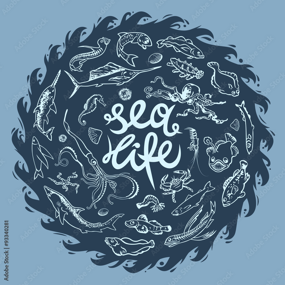 Sea life Sea life