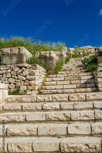 Stone stairway and meadow plants