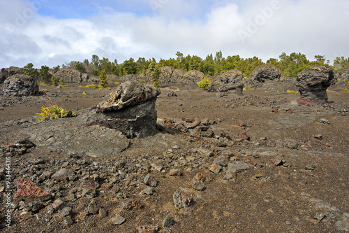 Фотография Lava along the Devastation Trail in the Volcanic National Park, Big Island, Hawa