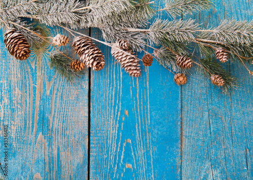 Christmas background with fir branches