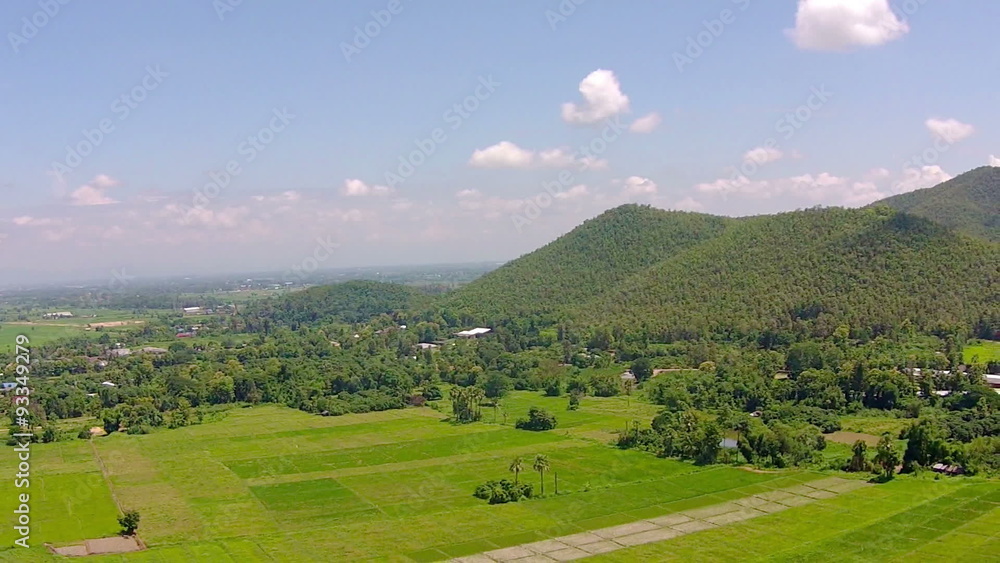 Aerial view shot rice field in countryside of thailand Aerial view shot rice field in countryside of thailand