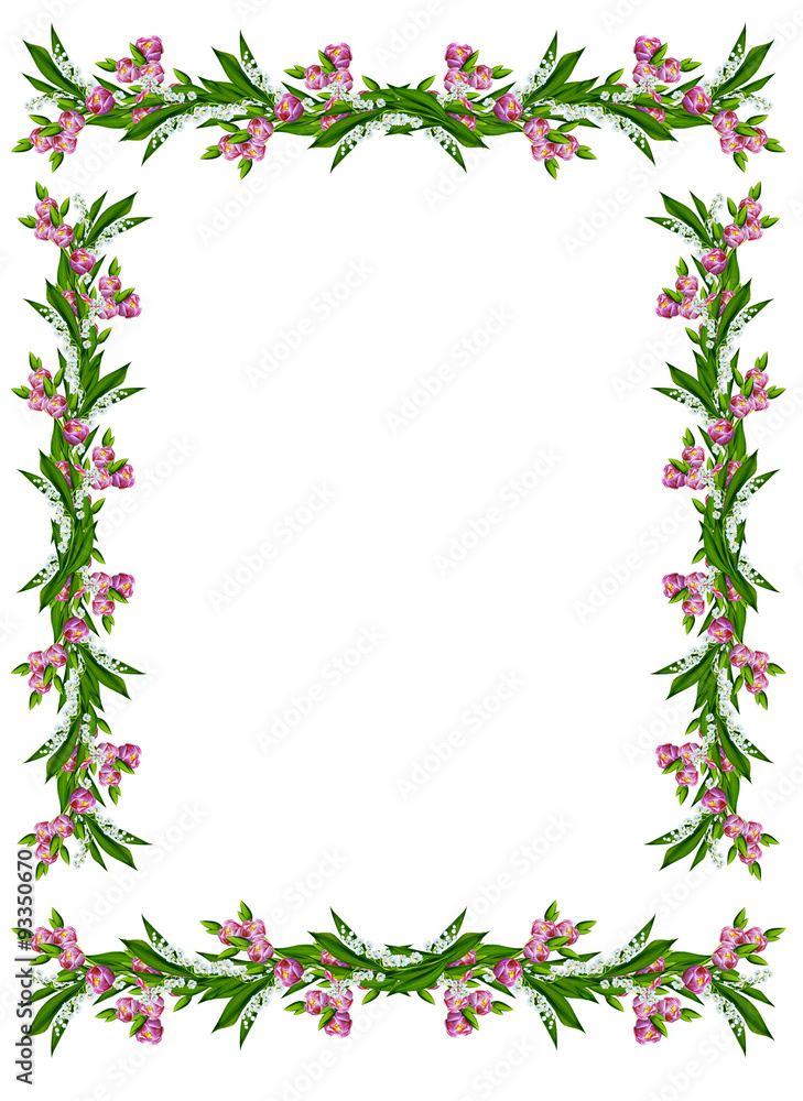 spring flowers tulips isolated on white background spring flowers tulips isolated on white background