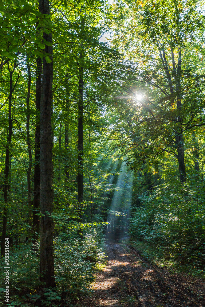 Obraz premium Hütter Wohld