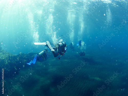 Wallpaper Mural Scuba diver with coral Torontodigital.ca