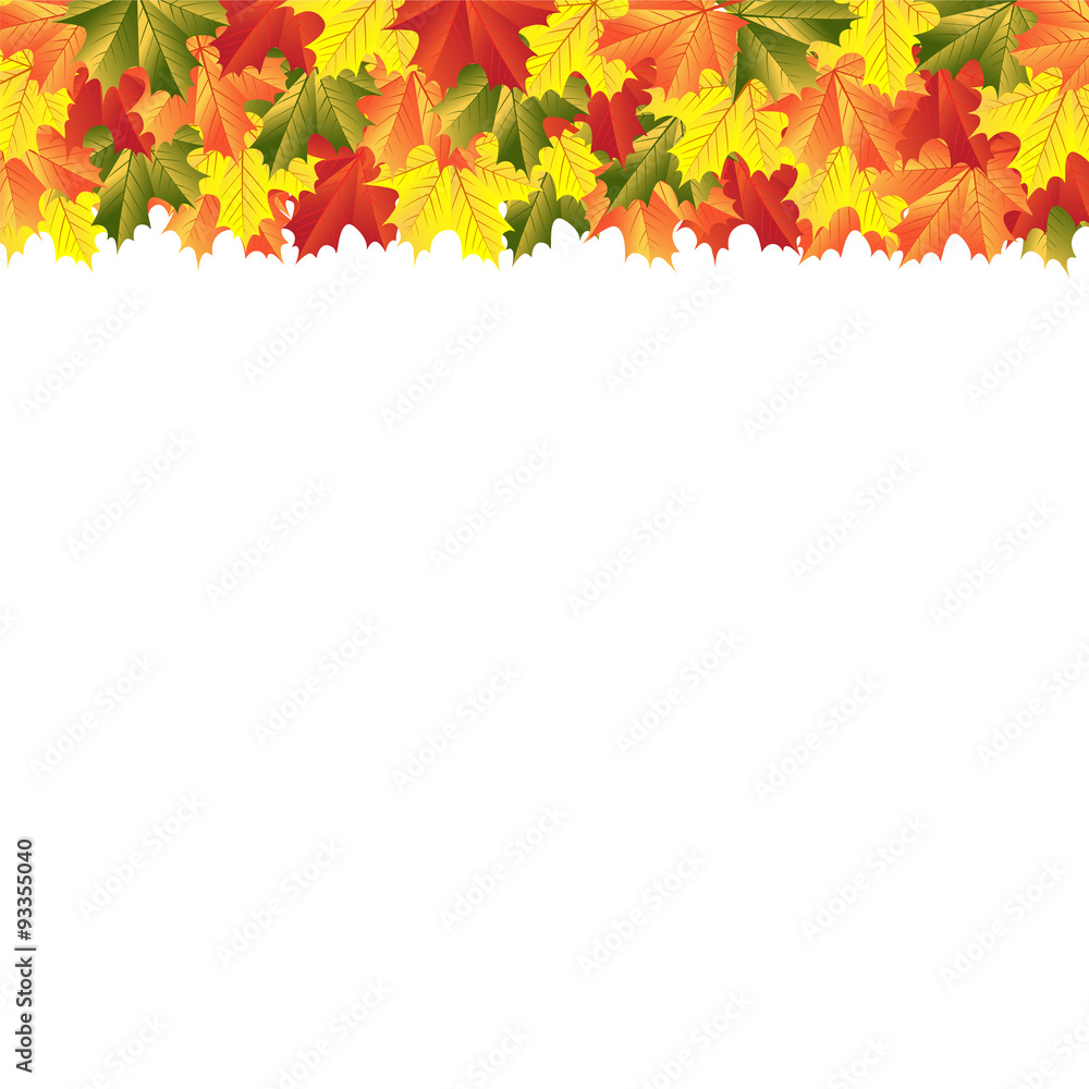 autumn maple leaves autumn maple leaves