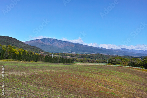 嬬恋村の畑