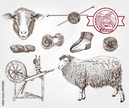 sheep breeding
