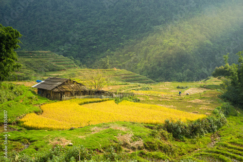 a little house in rice field "Sapa Vietnam"