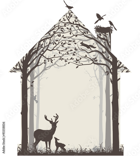 The nature of our house