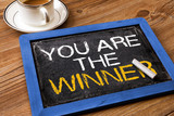 you are the winner