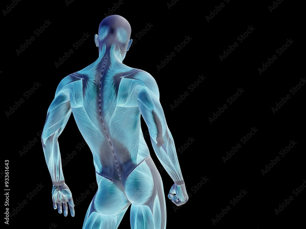 Conceptual human body anatomy on black Conceptual human body anatomy on black