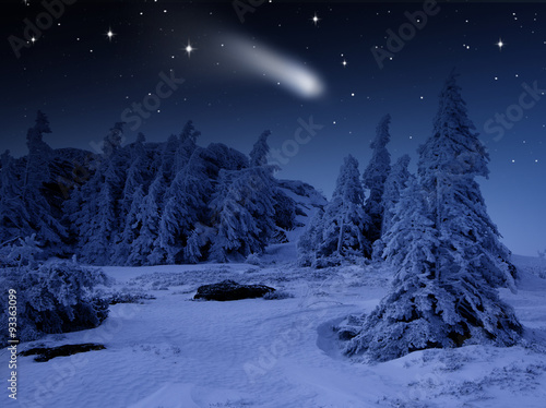 Winterwald mit Sternenhimmel