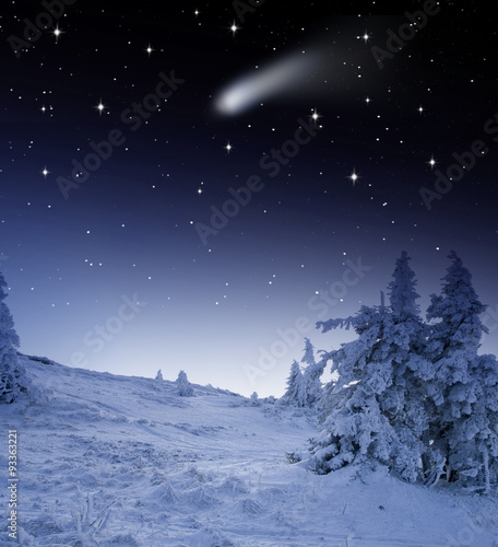 Winterwald mit Sternschnuppe