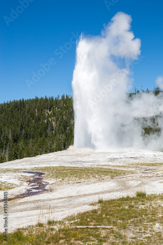 Old Faithful geyser eruption into Yellowstone National Park, USA