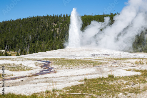 Old Faithful geyser eruption into Yellowstone National Park, USA