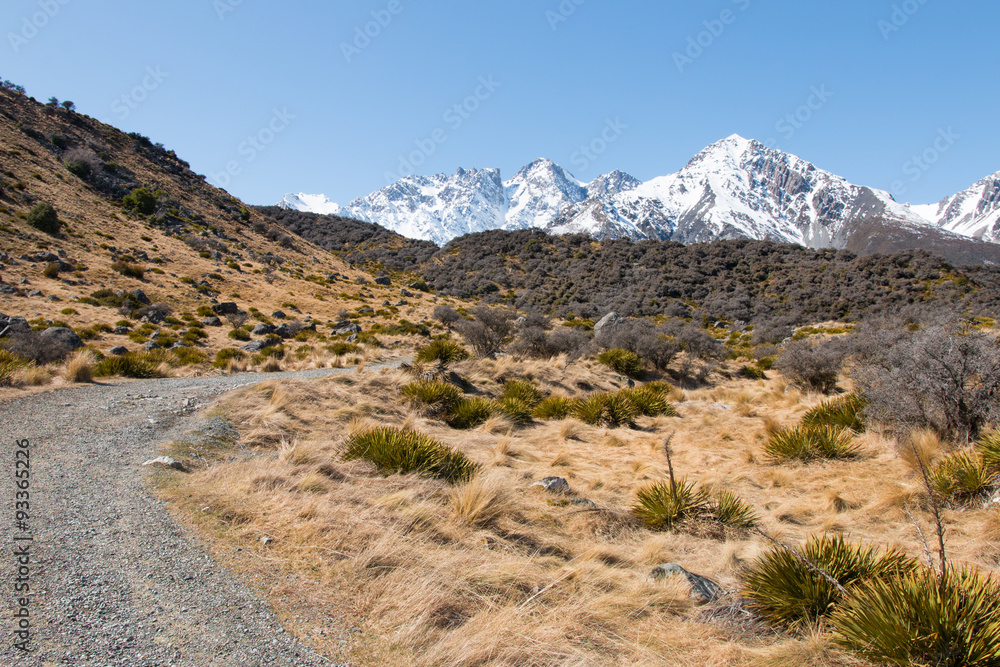 Foothill of mt. Cook at spring, New Zealand