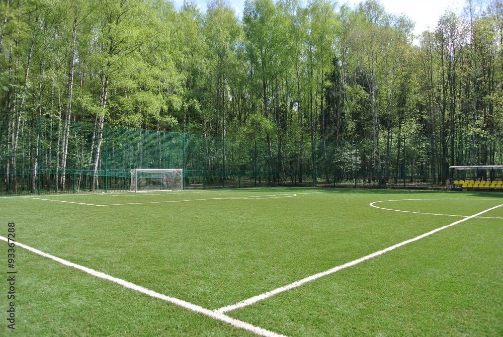 Football field in the Park Meschersky. Moscow