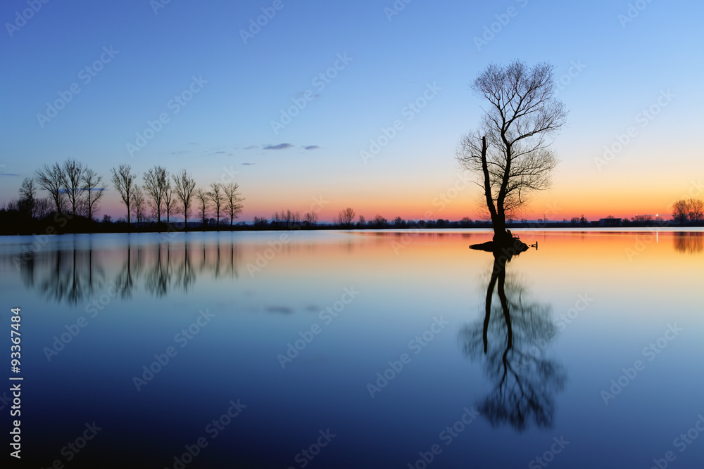Silhouette tree at sunset in lake