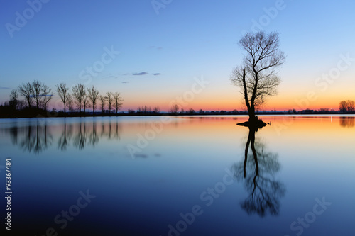Silhouette tree at sunset in lake © TTstudio