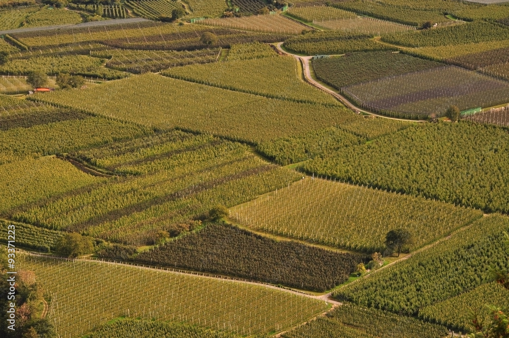 Apple and grape orchards in the foothills of the Alps, the view from a great height.