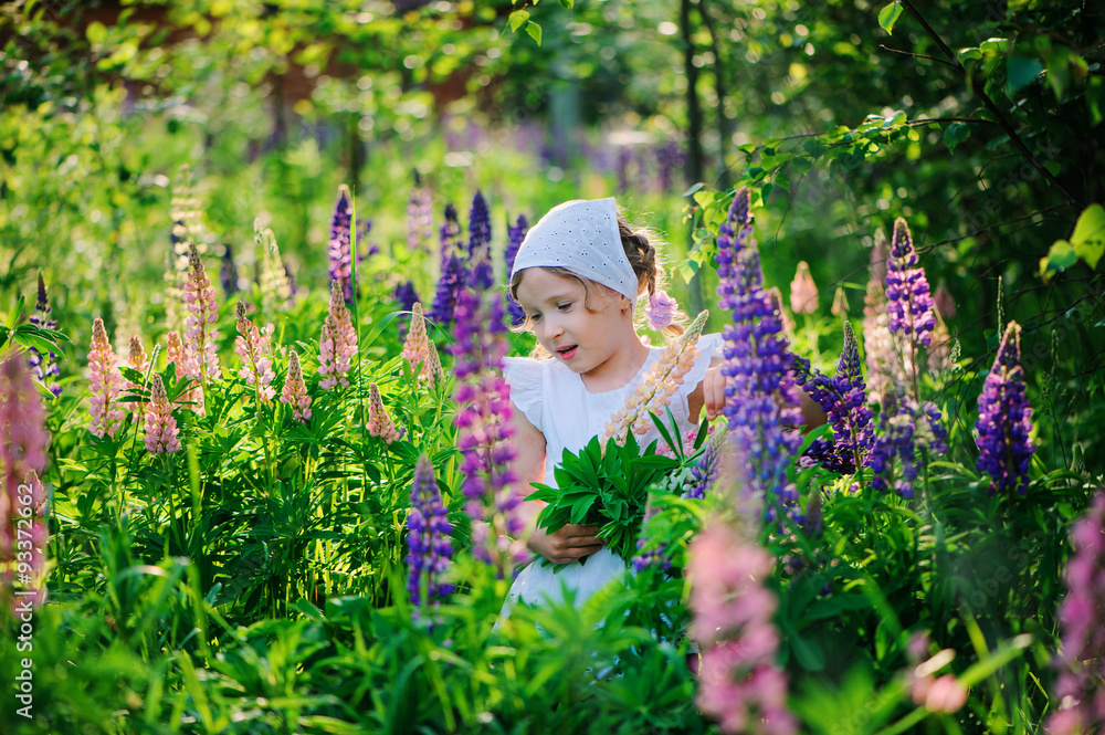 dreamy child girl picking lupin flowers on summer sunny field dreamy child girl picking lupin flowers on summer sunny field