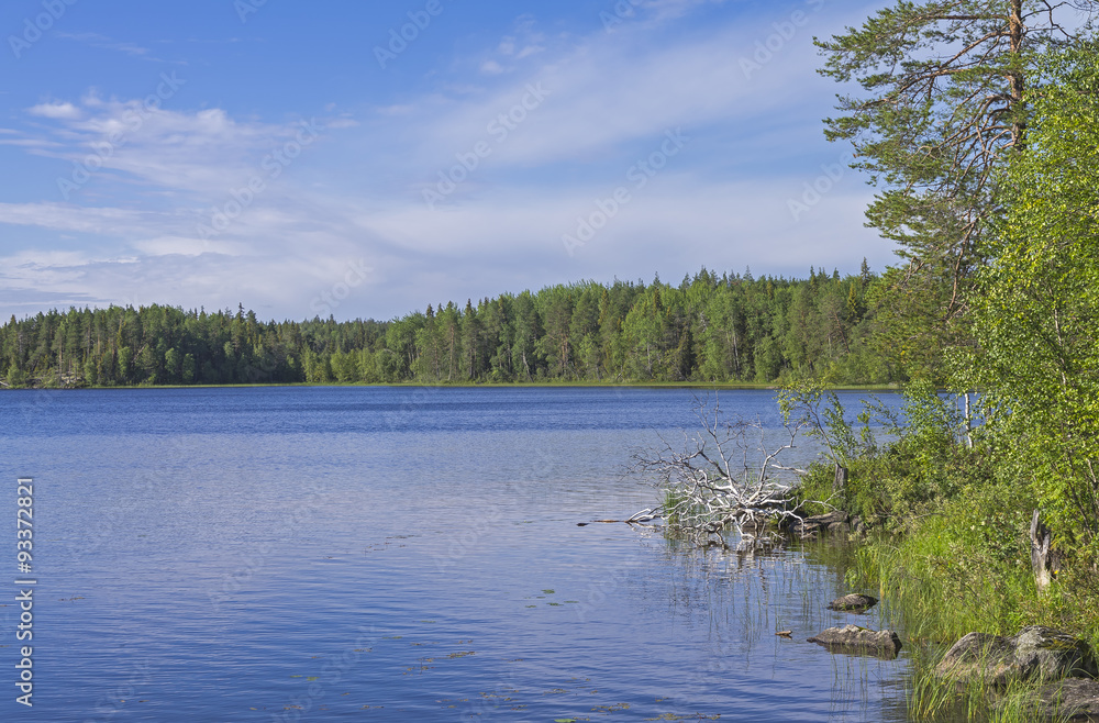 Lake in Karelia.