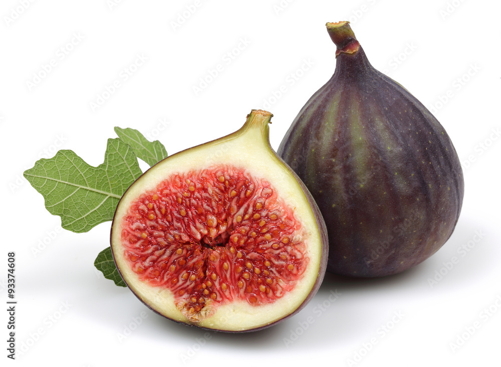 Fig group Fig group