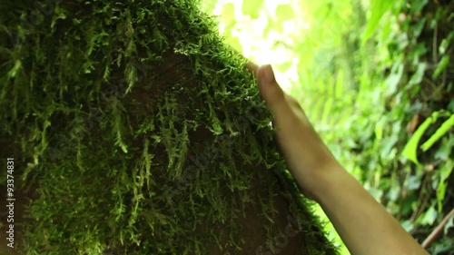 Girls hand caressing musk on a tree