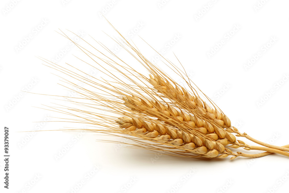 Wheat bundle Wheat bundle