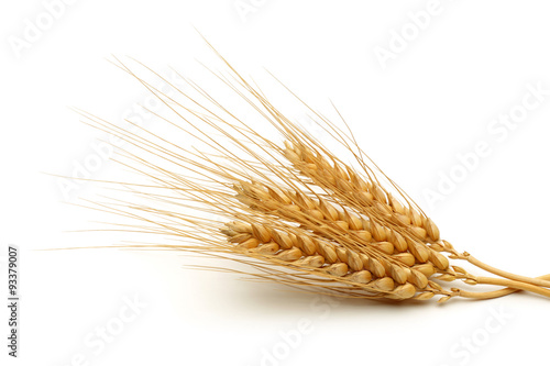 Wheat bundle