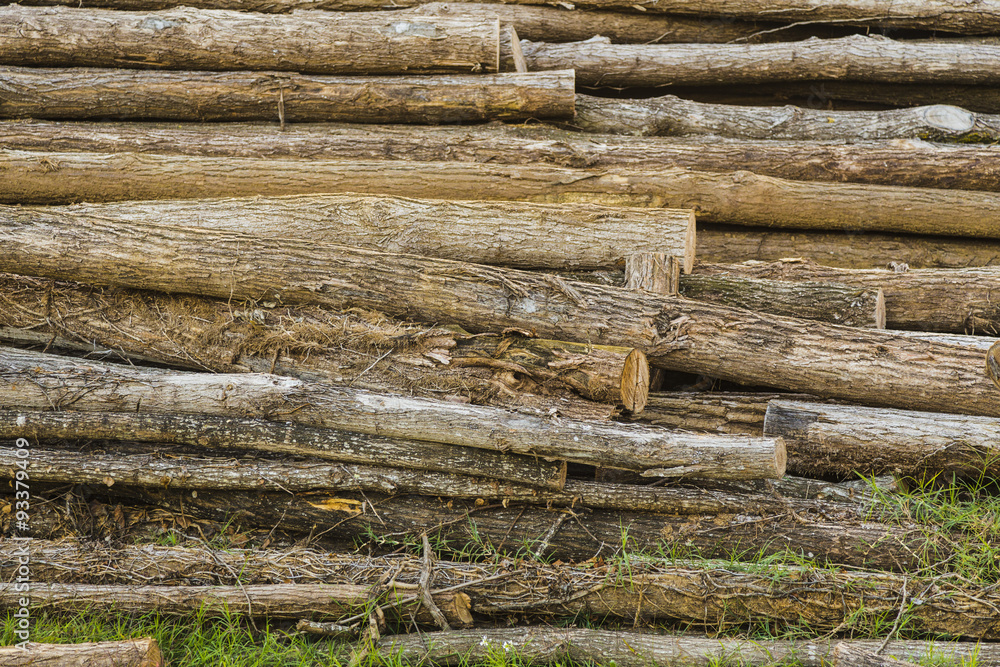Many wood logs disposed on a textured background Many wood logs disposed on a textured background