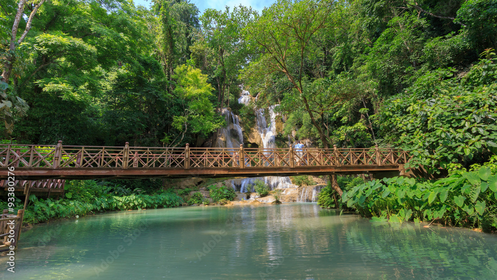 Luang Prabang Kansai falls in frest